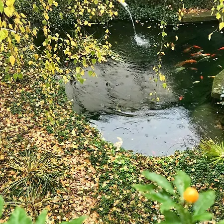 五感住宿加早餐旅馆