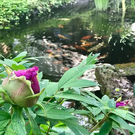 五感住宿加早餐旅馆 招待所